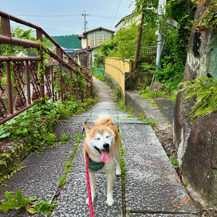 03b829dd c93b 47a3 b59b 15a3187b8d27 1720003566634