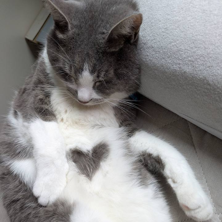 03b855c2 614d 482c a6ec c60e6ad8208d 1752285904409