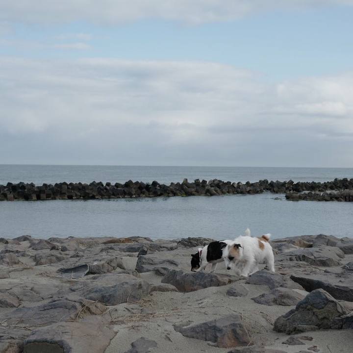 03b866dd 3a5a 4759 ac21 c68ce0cfd5f6 1521864108976