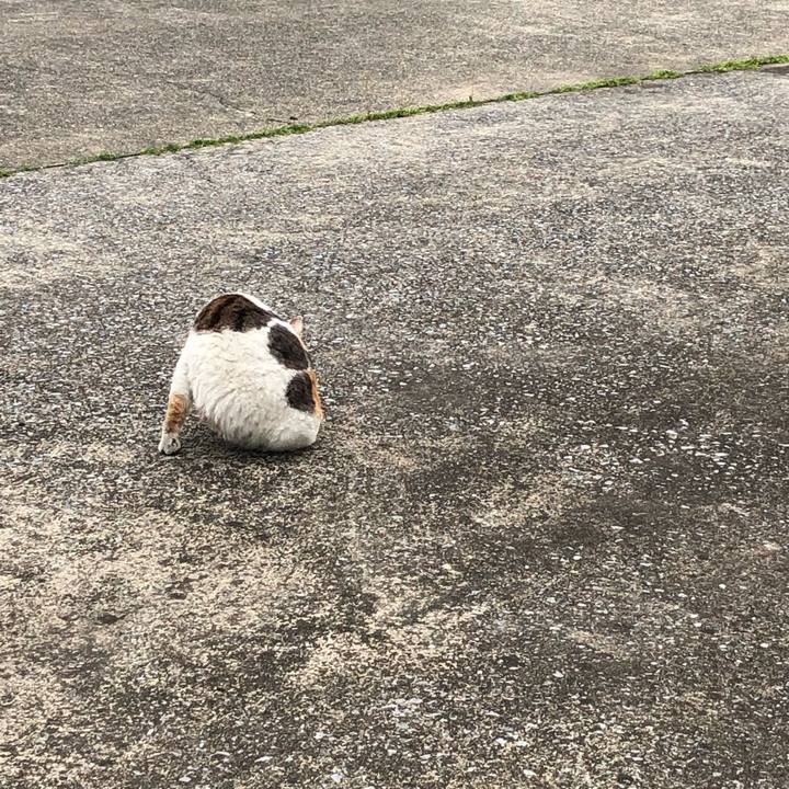 03b8756b 68ec 4cca a9b0 4587a36d2255 1555082528928