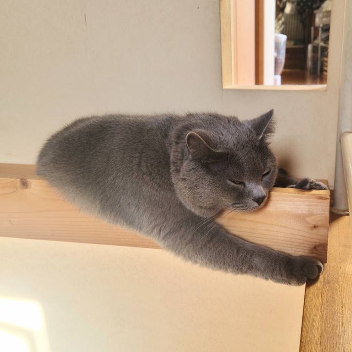 03b8b74f dfd7 4c28 a475 39e5b2542cdb 1664171673954