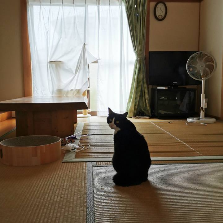 03b8e826 0f45 46bf a8f8 f5dc978b4147 1626753316850