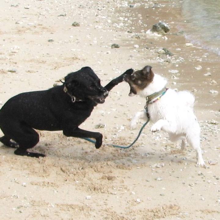 03b944ab cdf1 4e66 8847 9a7cb89a1fa0 1570081977354