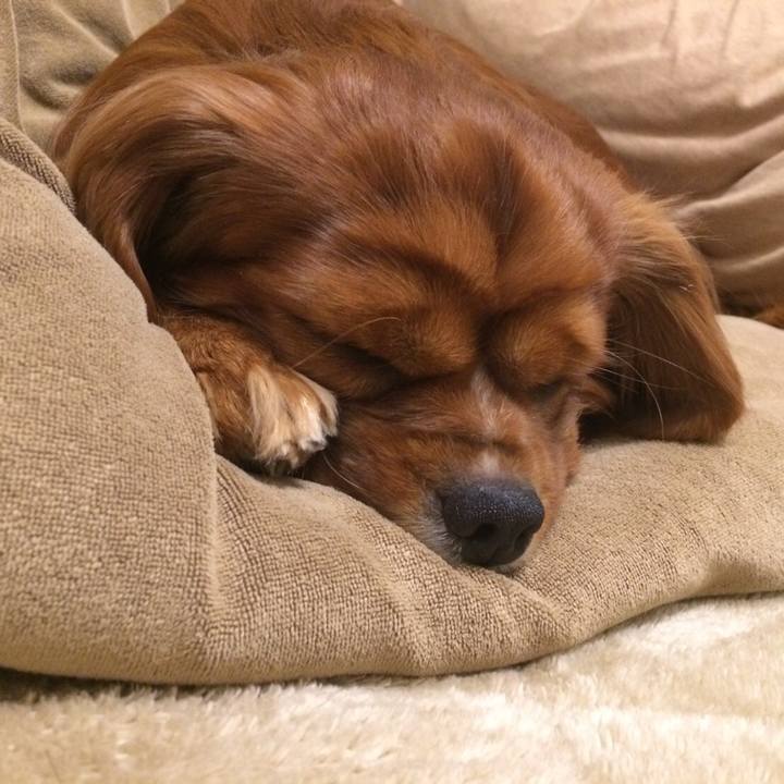 03b97dae b9ad 4db7 827b b23397a38610 1580907713225