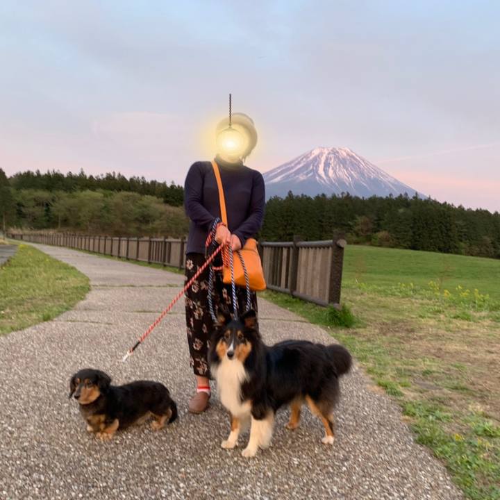 03b97e92 b480 4f63 970c eccbb7d1f413 1556916851476