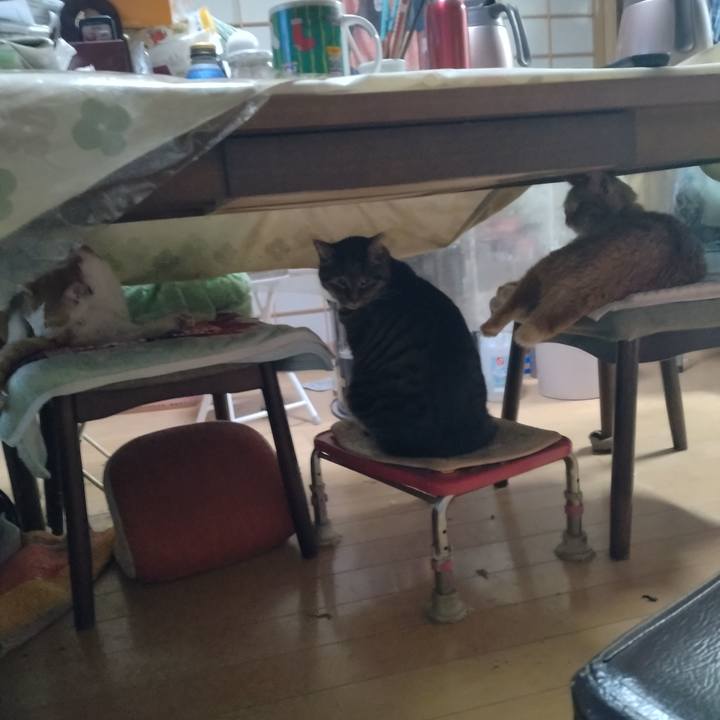 03b980ef 2149 48aa be35 626360291250 1736029669764