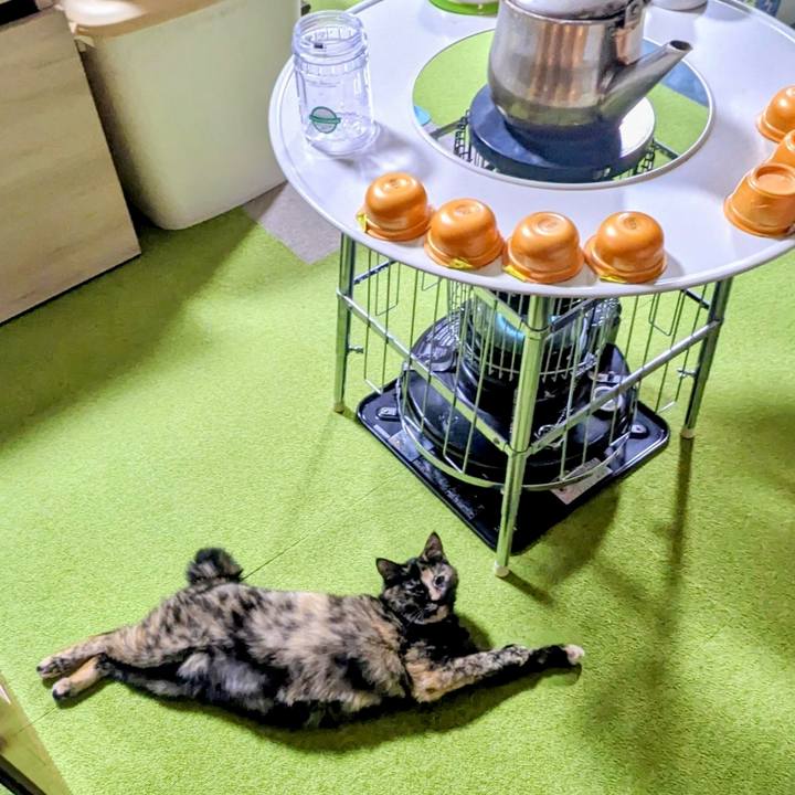 03b9b41e a412 4195 abfd be3d7644fff0 1767783503090