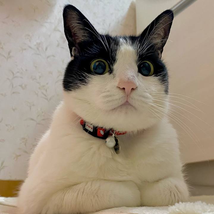 03b9b86f 1e44 4743 ae6c e894eedde39a 1734131162847