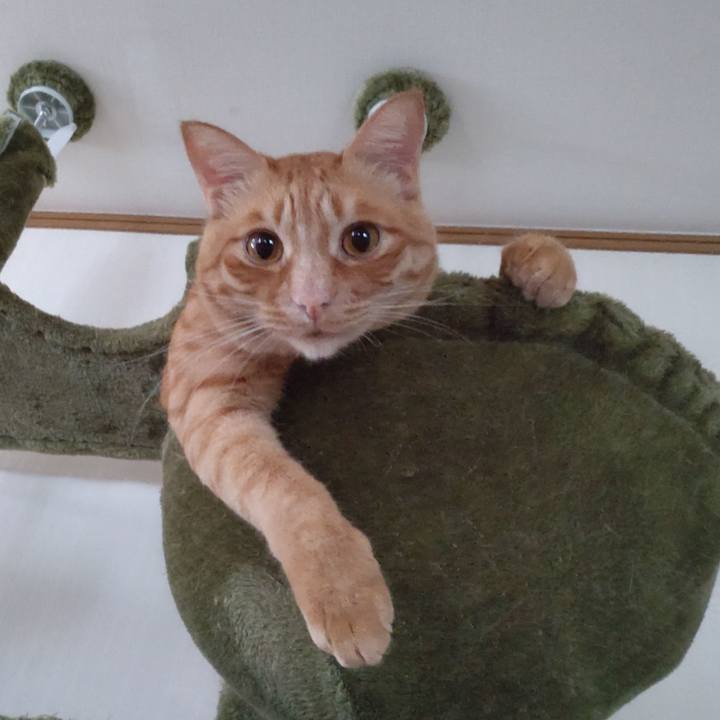 03b9c7e2 58fc 436b b260 3ddc16047d93 1712638362787