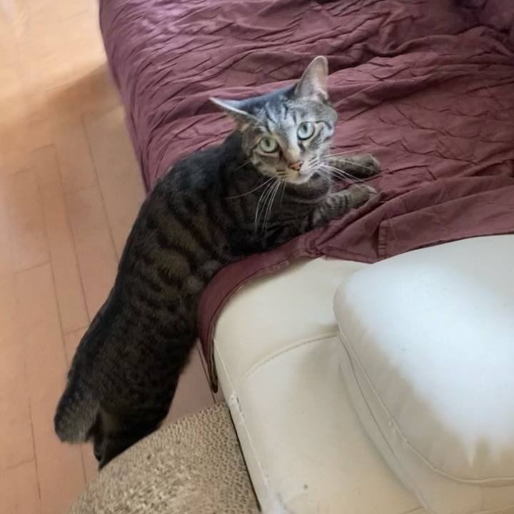 03b9f68c 2789 45b6 83fb 45d48aff2d73 1623981021653