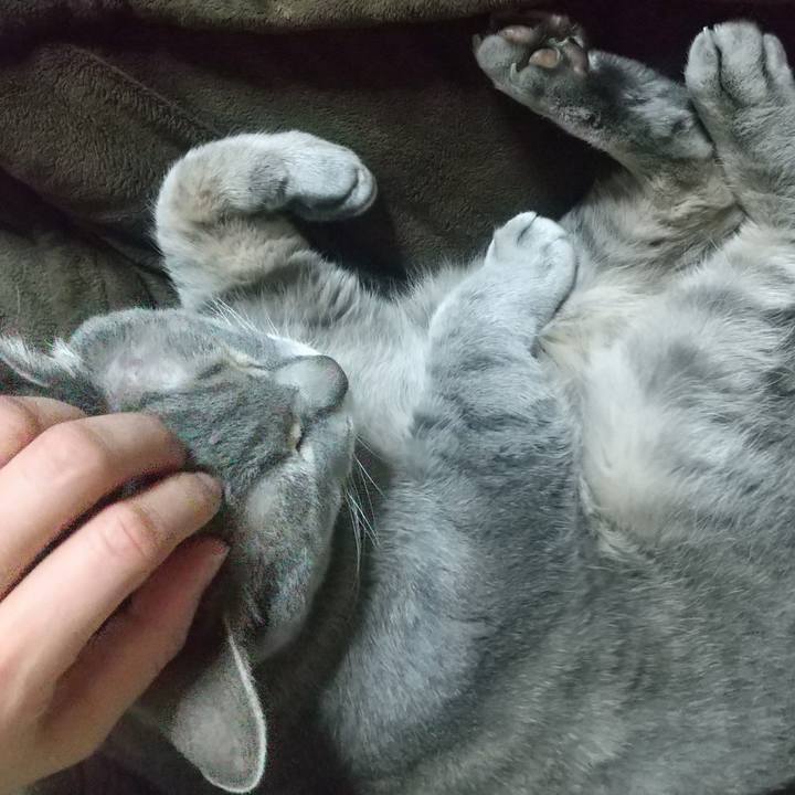 03ba0105 bd6f 40af b2de b3d0f25cc069 1614252366515