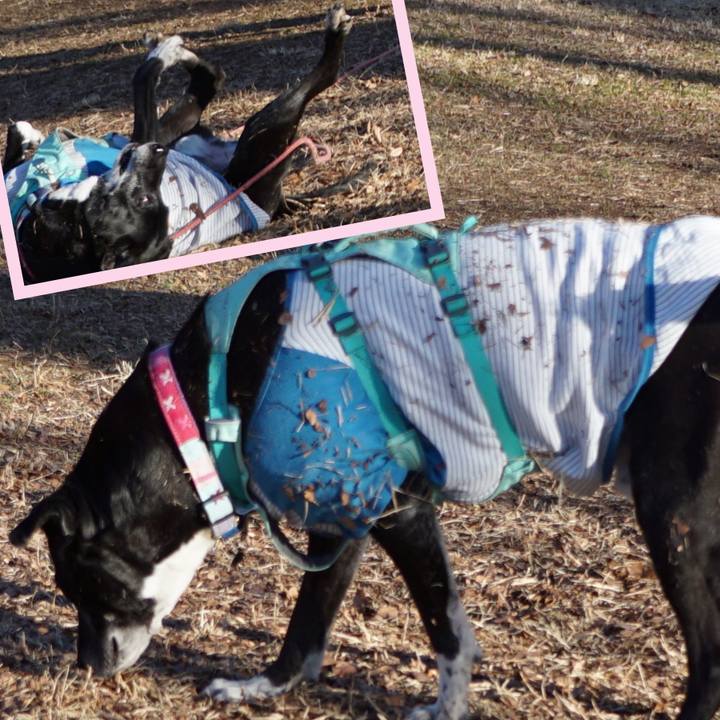 03ba0f65 74c8 463a ad45 bf3b4e60214d 1771464466590