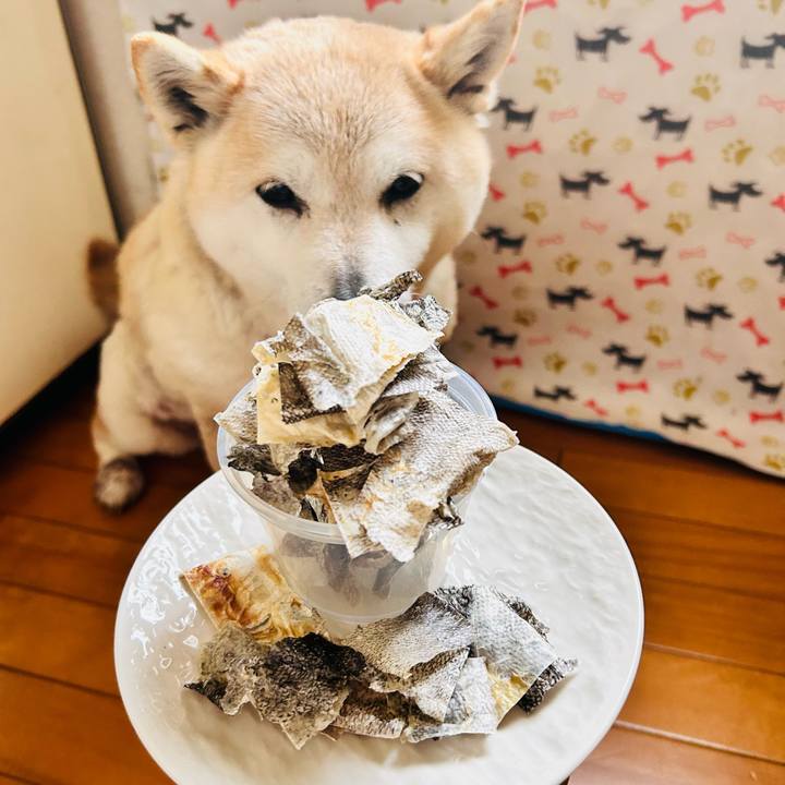 03ba1a50 90bb 498a acf0 a972fa703b6c 1743055037609