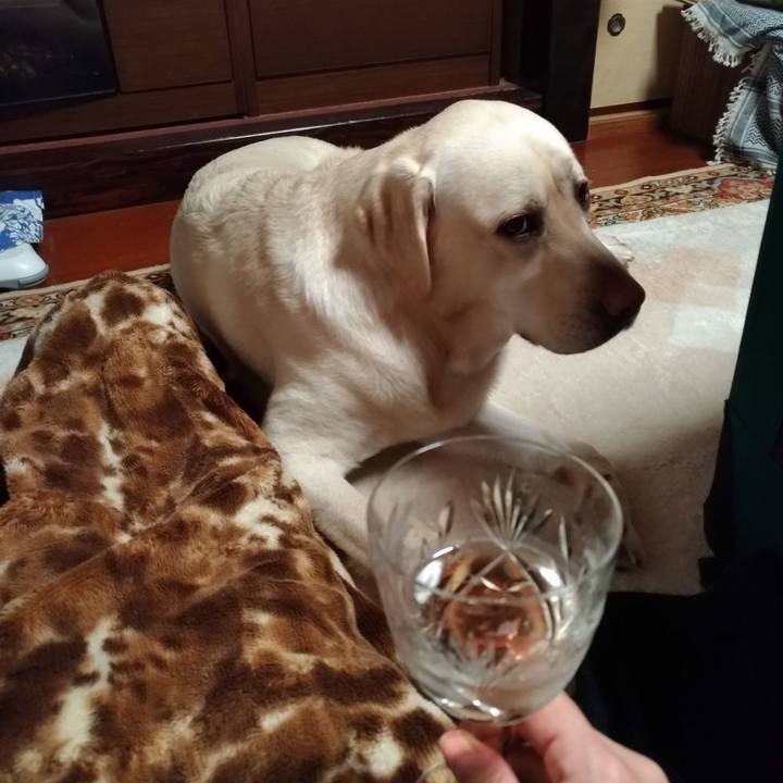 03ba3192 ade8 4289 8f54 2a931ce8b718 1549203910570