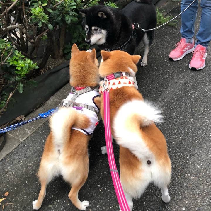 03ba3960 8f8e 49ab 933b 04bd94c87ef8 1661729978161