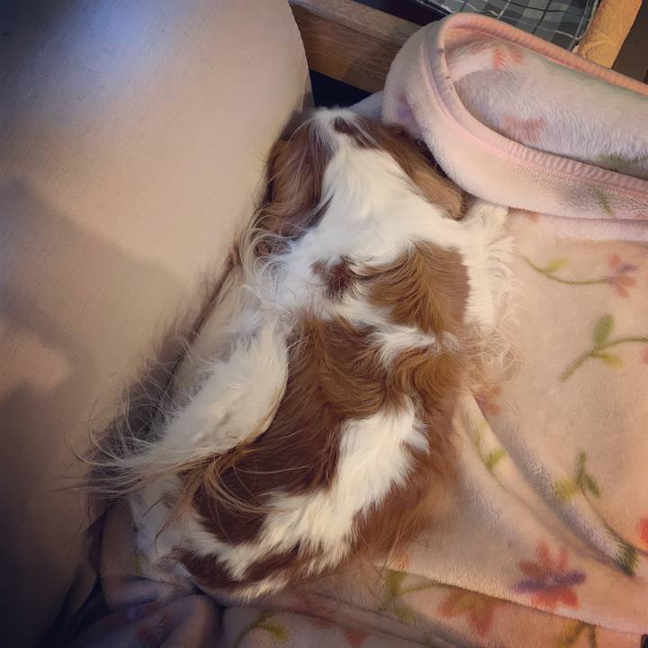 03ba5ff6 03d8 4d73 ab9e 5bcf7e843900 1580544265692