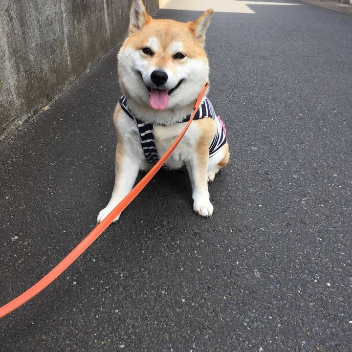 03bae04a 9c4f 4be7 8ad9 3469dee7d669 1559606983958