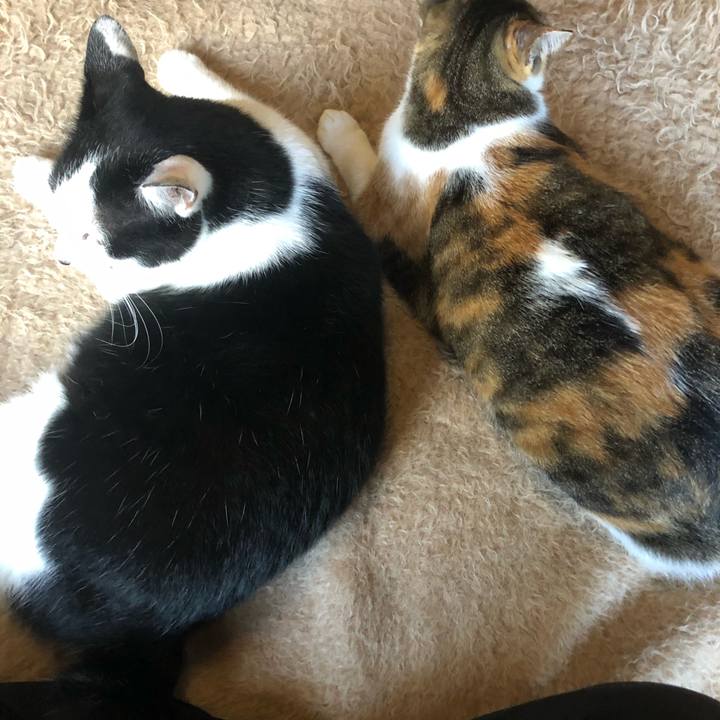 03bb34e1 ddf3 4d40 88c9 3d8776e504ef 1597096847907