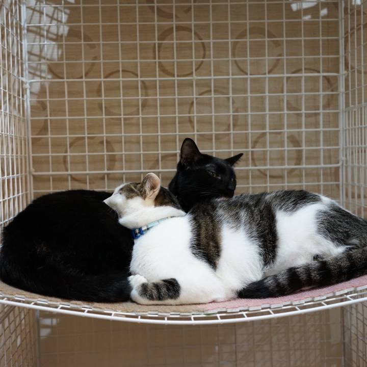 03bb48e2 8829 493d 926a c7a0438f2855 1511183382666