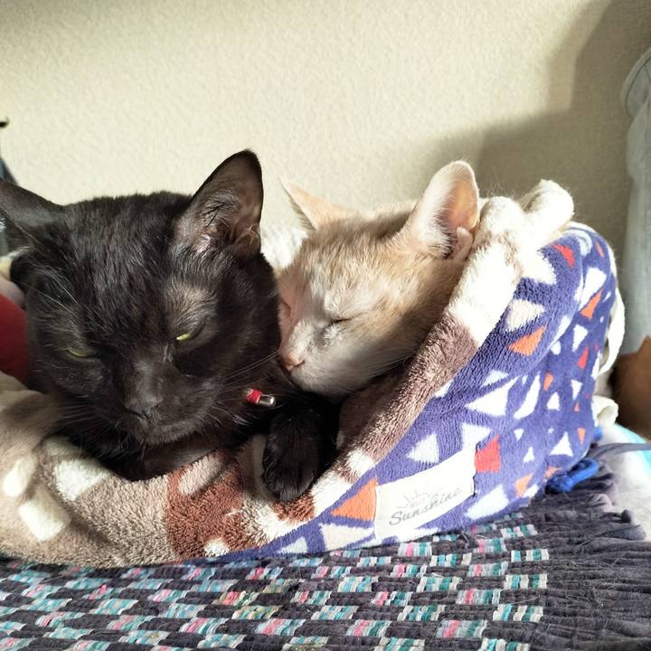 03bb7c70 b0ad 4447 8b40 0b212b27b4f3 1672358235627