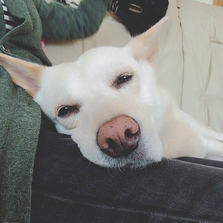 03bb8554 df0a 4177 895c 95ad3c049bd0 1526395179878