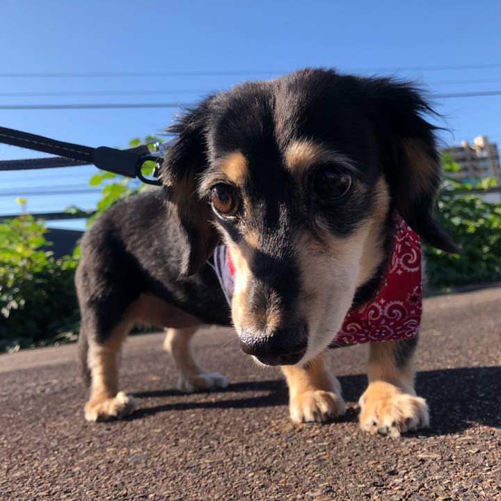 03bbb727 b98f 4fb6 a958 4de3791fbe13 1633218139426