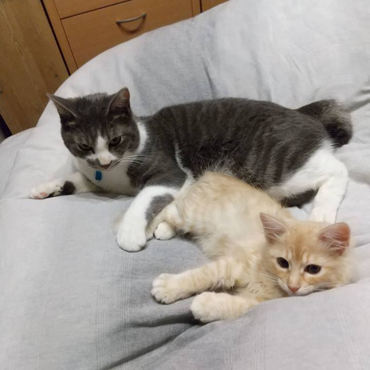 03bbc1ba beaa 4e80 be98 d13314cdbfc9 1605444072650