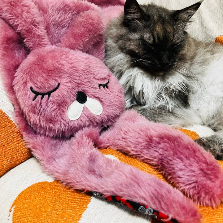 03bbdb74 a1a9 4c9b 825f 5b366cb1cffb 1738038726072