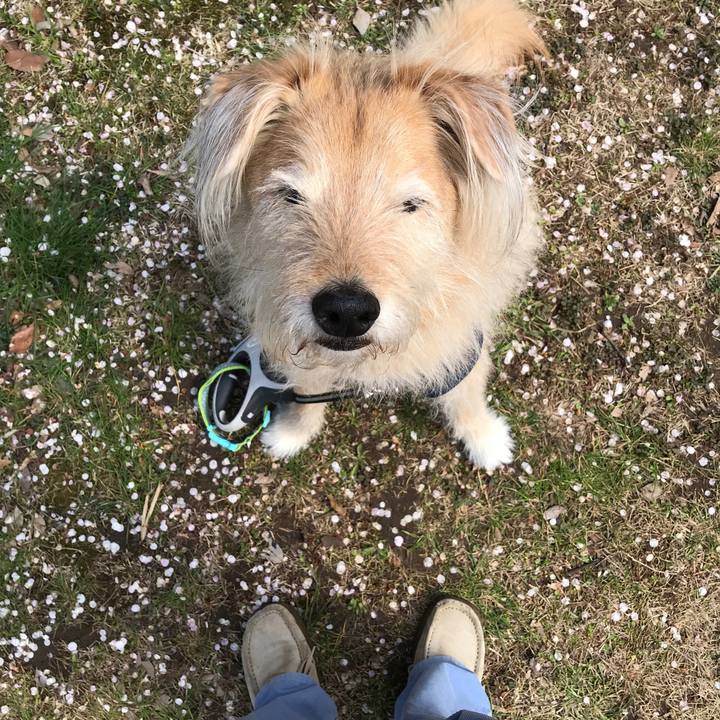 03bbf2ca 6756 4345 ad12 7cb90c58ede1 1551511132415