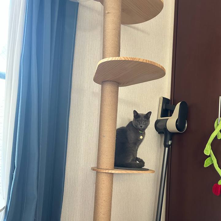 03bc2999 bda6 4332 a1ae 6127bb0960d9 1737345318977