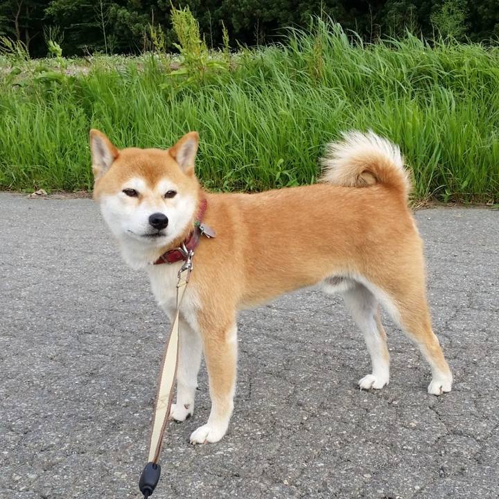 03bc2bd1 8be1 41cb a351 8f652492366a 1729467198199