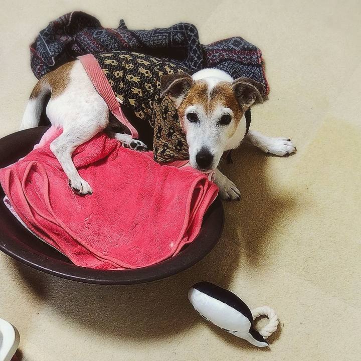 03bc3457 c9ca 4fd1 aea7 8d9e52aa0db8 1577624518699