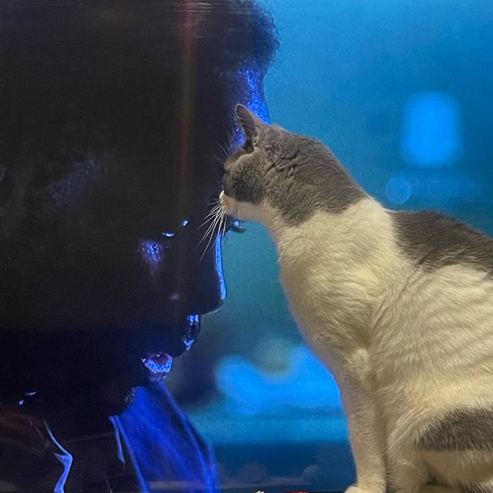 03bc89b4 33cc 411d b8bf fbb75dd8421d 1704640992963