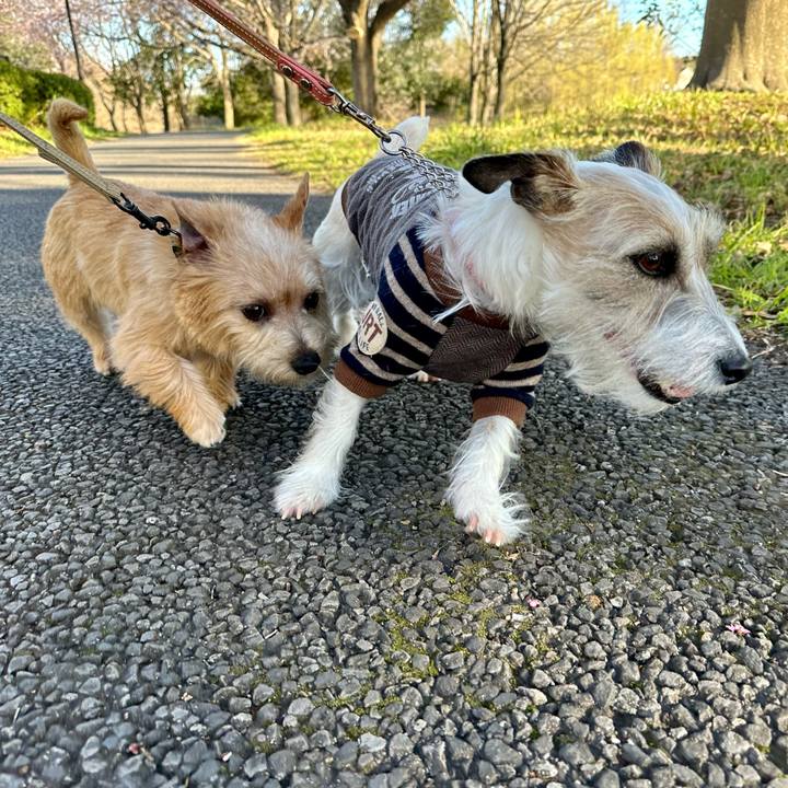 03bc97f1 e9f3 4bd1 9018 ffadc9268ecb 1710082074828