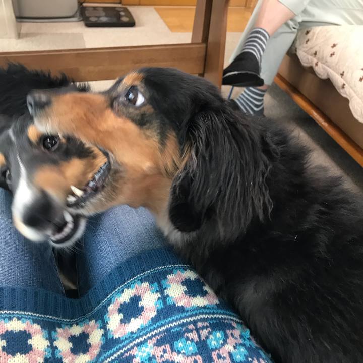 03bc9d6f 8e1b 4b77 b859 ba6efeef2c1a 1523829651386