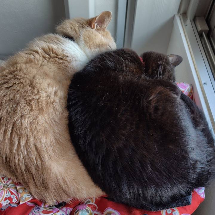 03bca8e2 198d 49d5 b205 db633fbc49ff 1747125309951