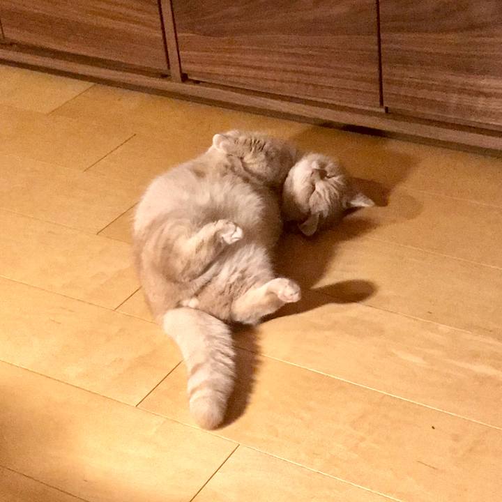 03bcb863 6011 4267 a116 32ccbd38112a 1547825211949