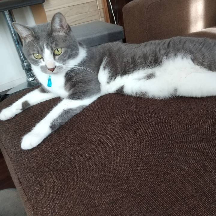 03bcc634 d64c 4dd7 a6f3 cd14a03703f7 1641099515080