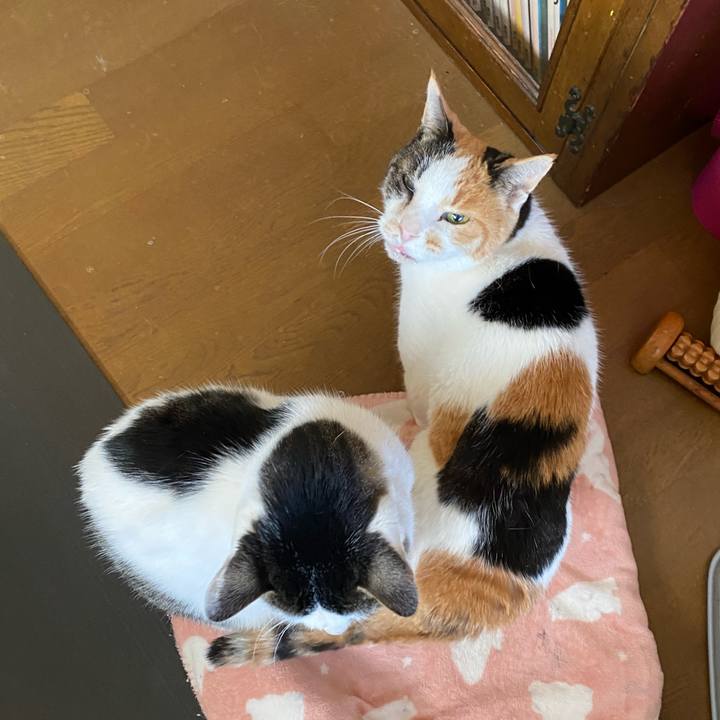 03bcca97 d9f6 497d 8ba9 d1041b96c142 1676989961398