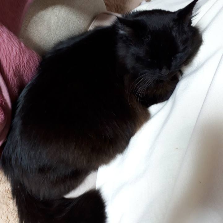 03bcd923 04de 49e7 ac99 f0bd466467b1 1518763966555