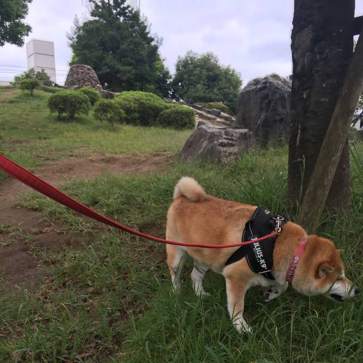 03bcdcc2 c95b 49c6 972c 75be27f02816 1602470430297