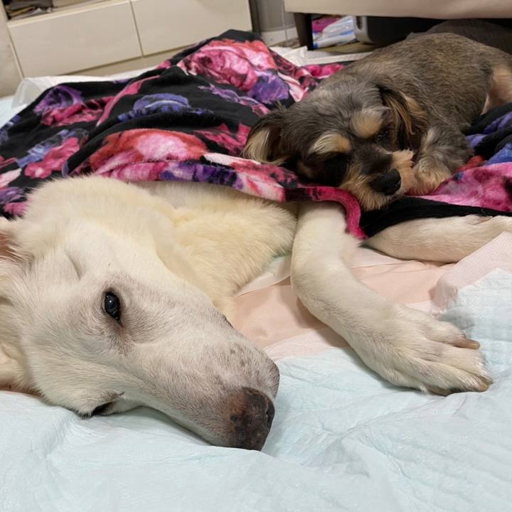 03bcf12c 8fee 49ed 90f1 04bb0e3ece20 1605452959990