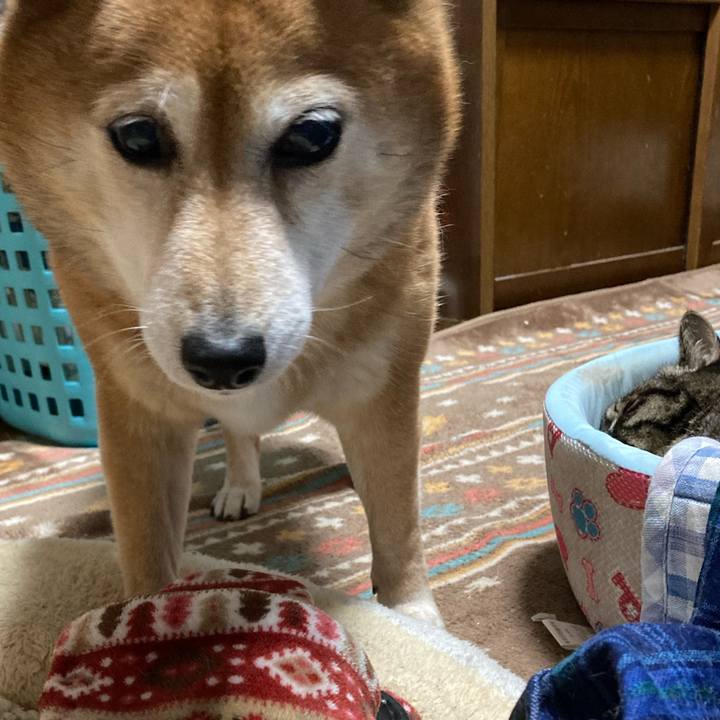 03bdb9ee e3ab 4690 9f21 7f5773205d77 1640074337821