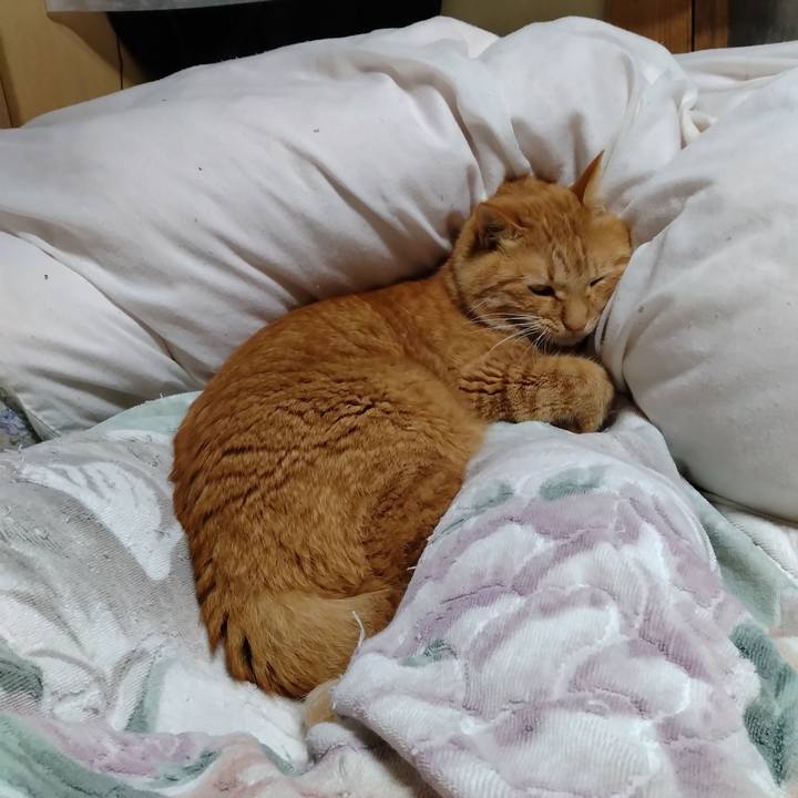 03bdcaf8 4492 462a bbcf 94248d1e613d 1700048488879