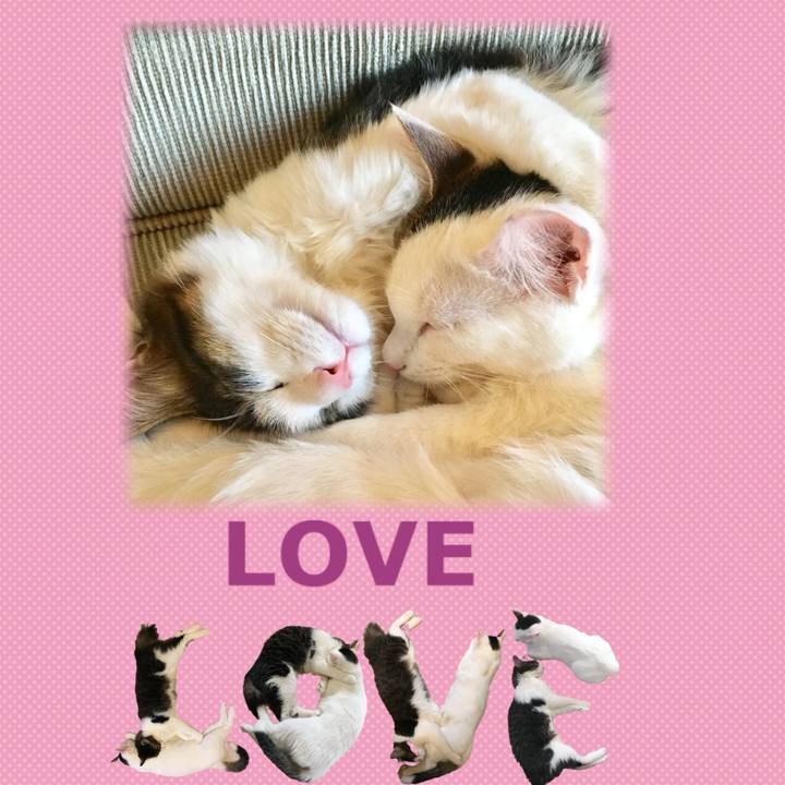 03be1ef2 4445 4a19 ab66 dfc90e9d6044 1667604154292