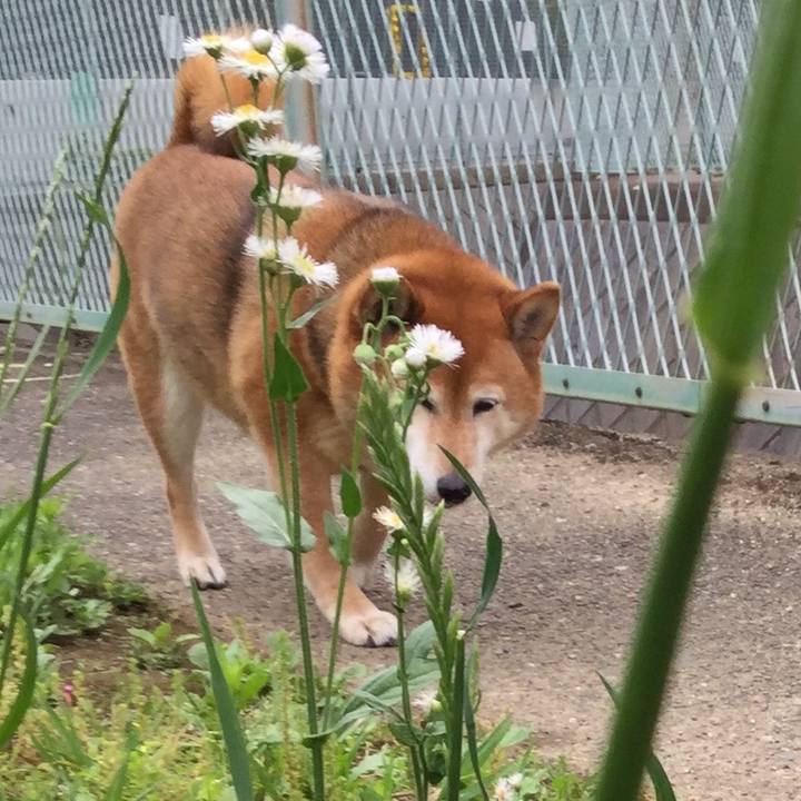 03be2060 006b 413d a625 da080183e465 1589769713931