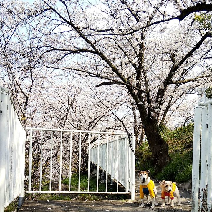 03be26d0 2792 4c57 98cd 025bb8b14b57 1554531392589