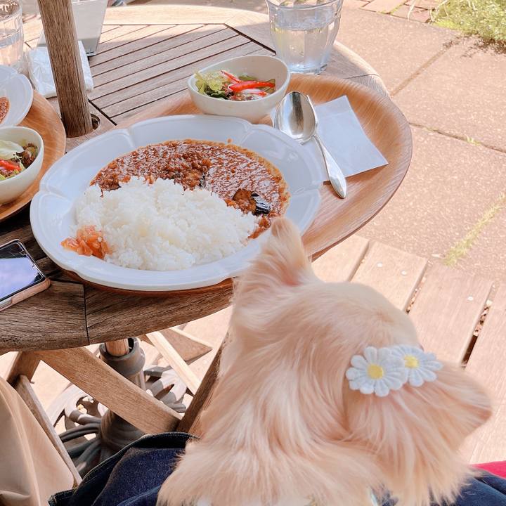 03be9a94 7342 4a1c 9931 51a3e0d85df8 1655210771272