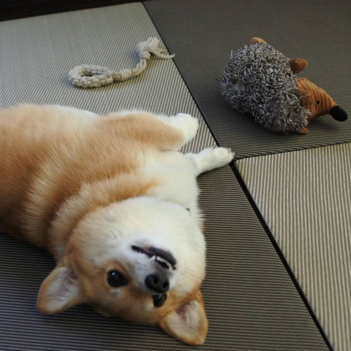 03bef4be f7e8 4437 a16e 3667c67f3dfc 1566004747043