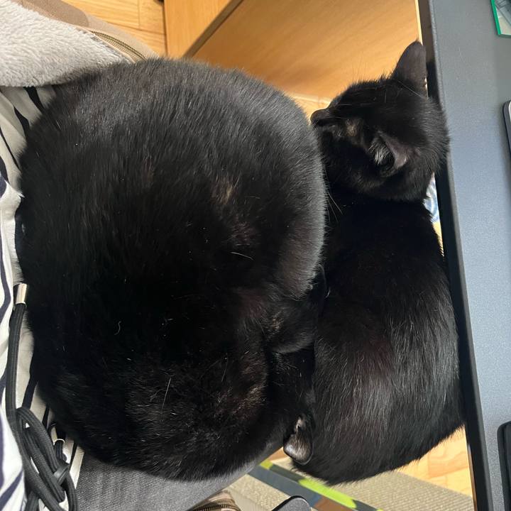 03bf3984 1863 4e4a b9cf 3f4152e64424 1650461726492